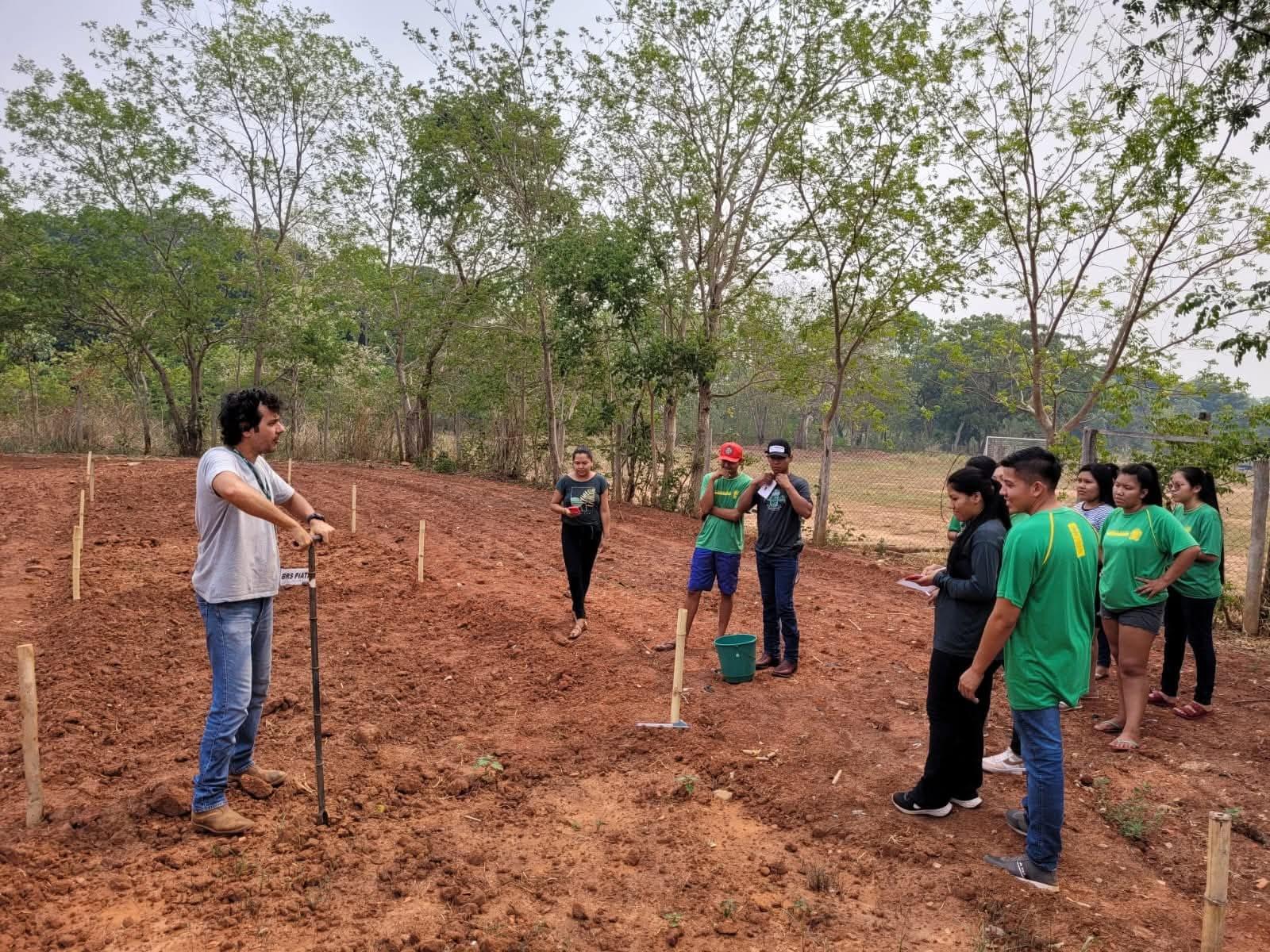 Training & Workshops